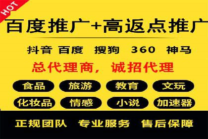 案例分析：SEM广告助力电商行业突破